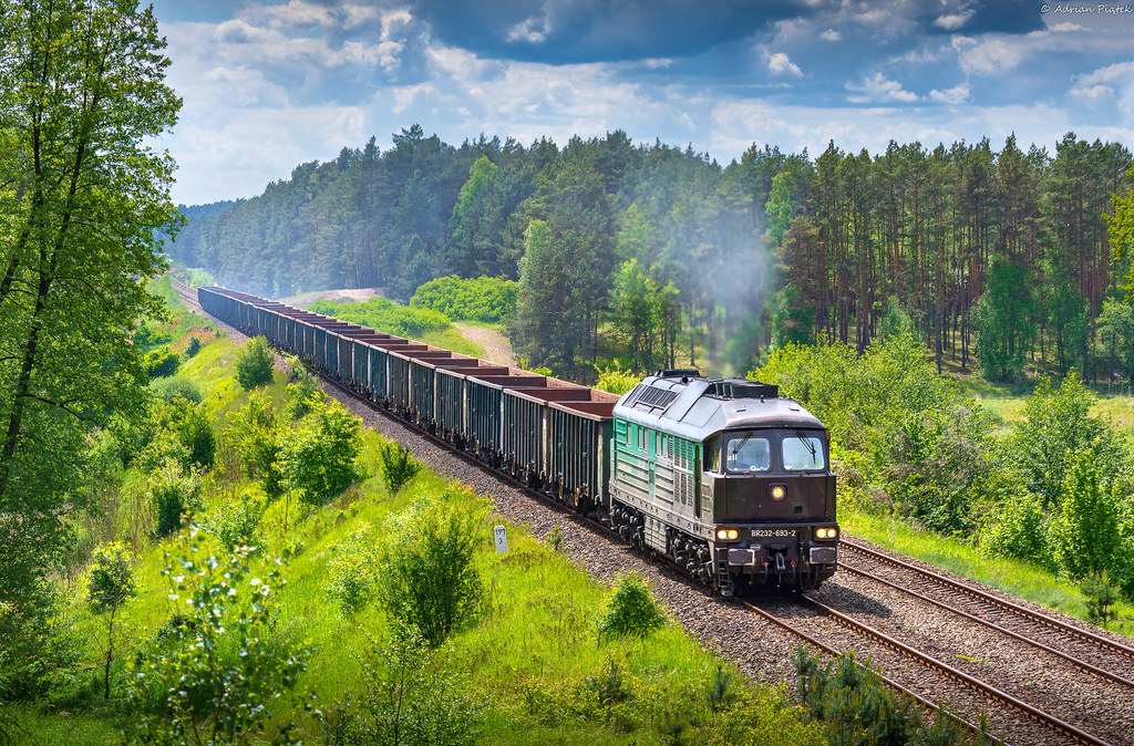 54555930771_b730b87197_b